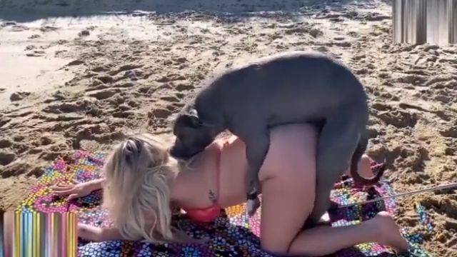 Питбуль ебет девушку на пляже в Сочи, зоо порно