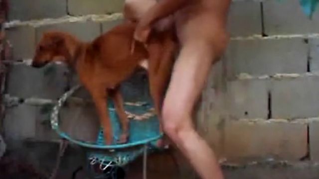 Наглый молдован трахает собаку дворняжку у дрма бабушки