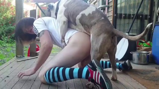 Собака трахает сына на даче родителей , анал зоофила с стаффом