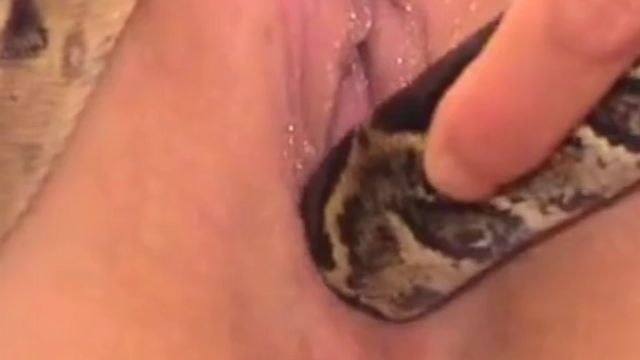 Змея в пизде девушки, порно видео