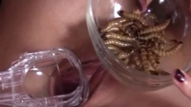 Опарыши в пизде женщины, зоо порно жесть