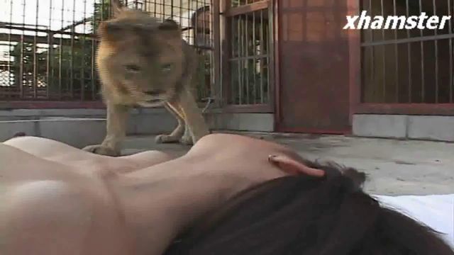 Порно азиатской девушки с львом в клетке 