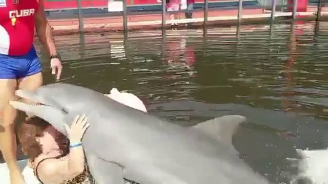 Порно женщины с дельфином, юмор зоофилия