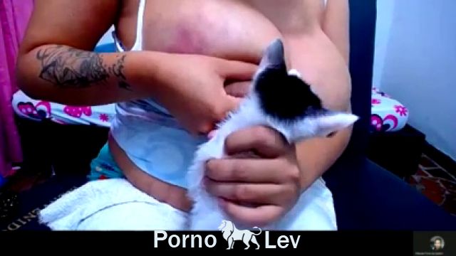 Девушка кормит сиськами кота, ххх зоо 